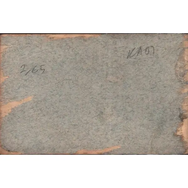Kuyruk numaralı ve ay yıldızlı fotoğrafçı tayyaresinde bir hatıra fotoğrafı, 14x9 cm