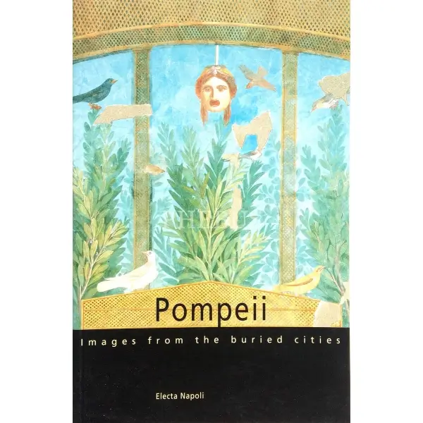 İngilizce POMPEII IMAGES FROM THE BURIED CITIES, Silvia Cassani, Paola Rivazio, 2001, London: Elacta Napoli, 110 s., 16x24 cm