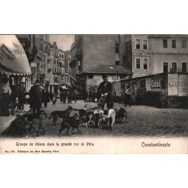 Sokak köpeklerini besleyen fesli beyefendi, Constantinople, ed. Au Bon Marche