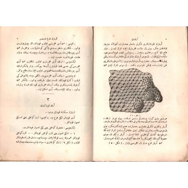 KADINLARA AMELÎ SANÂYİ-İ ZİRÂİYYE DERSLERİ (4. Kısım: Arıcılık San´atı), İhsan, Matbaa-i Amire, İstanbul 1331, 32 s., 14x21 cm