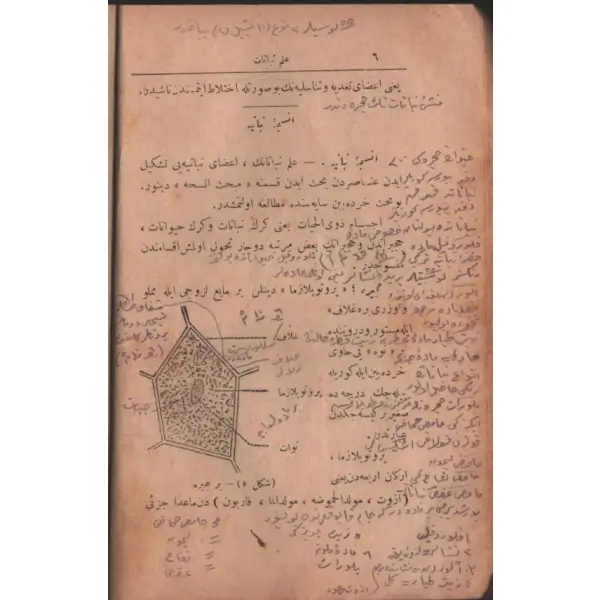 İLM-İ NEBATAT, Harunürreşid, 1330, Kitaphane-i İslam ve Askeriye, 200 sayfa, 14x19 cm…