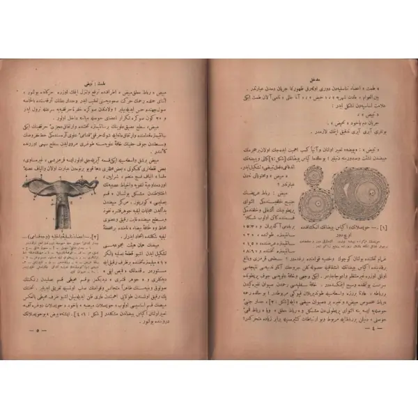 İki cilt birlikte: FENN-İ VİLADE - 1 (HAMİL) ve FENN-İ VİLADE - 2 (Viladet, Halas, Avakıb-ı Viladet, Nevzad), Doktor Besim Ömer, 1338 - 1339, Ahmet İhsan ve Şürekası Matbaası, 313+408 sayfa, 17x24 cm…