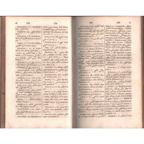 DICTIONNAIRE FRANÇAIS - TURC (ELSİNE-İ FRANSEVİYYE VE TÜRKİYYE´NİN LÜGATI, 1 ve 2.2. cilt), Bianchi, 1843, 784+607+125 sayfa, 14x22 cm...
