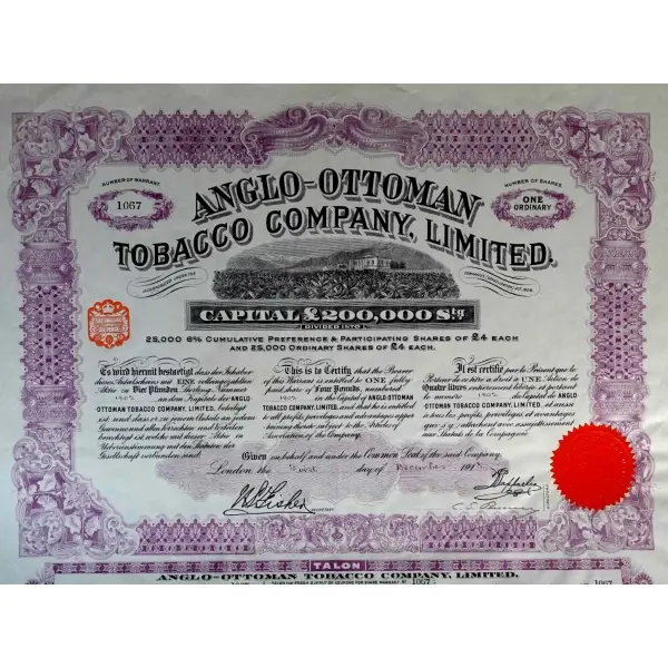 İngiliz-Osmanlı Tütün Limited Şirketi (Anglo-Ottoman Tobacco Company Limited) hisse senedi, 43x33 cm...