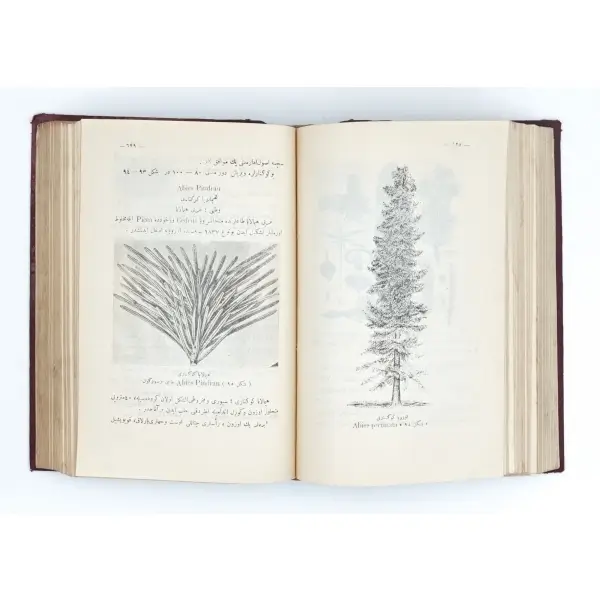 ORMAN YETİŞTİRME FENNİ (1 ve 2. Cilt), Esat Muhlis, 1341, İstanbul Necm-i İstikbal Matbaası, 2112 sayfa, 17x24 cm...
