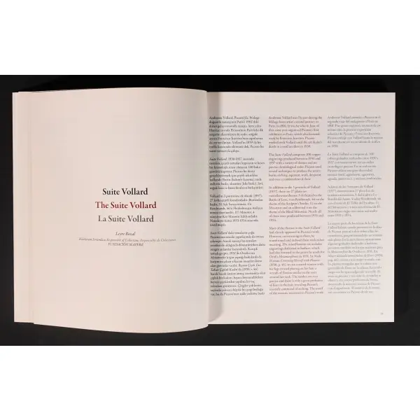 PICASSO - SUITE VOLLARD, editör: Begüm Akkoyunlu Ersöz, 2010, İstanbul, Pera Müzesi Yayını, 155 sayfa, 24x28 cm...