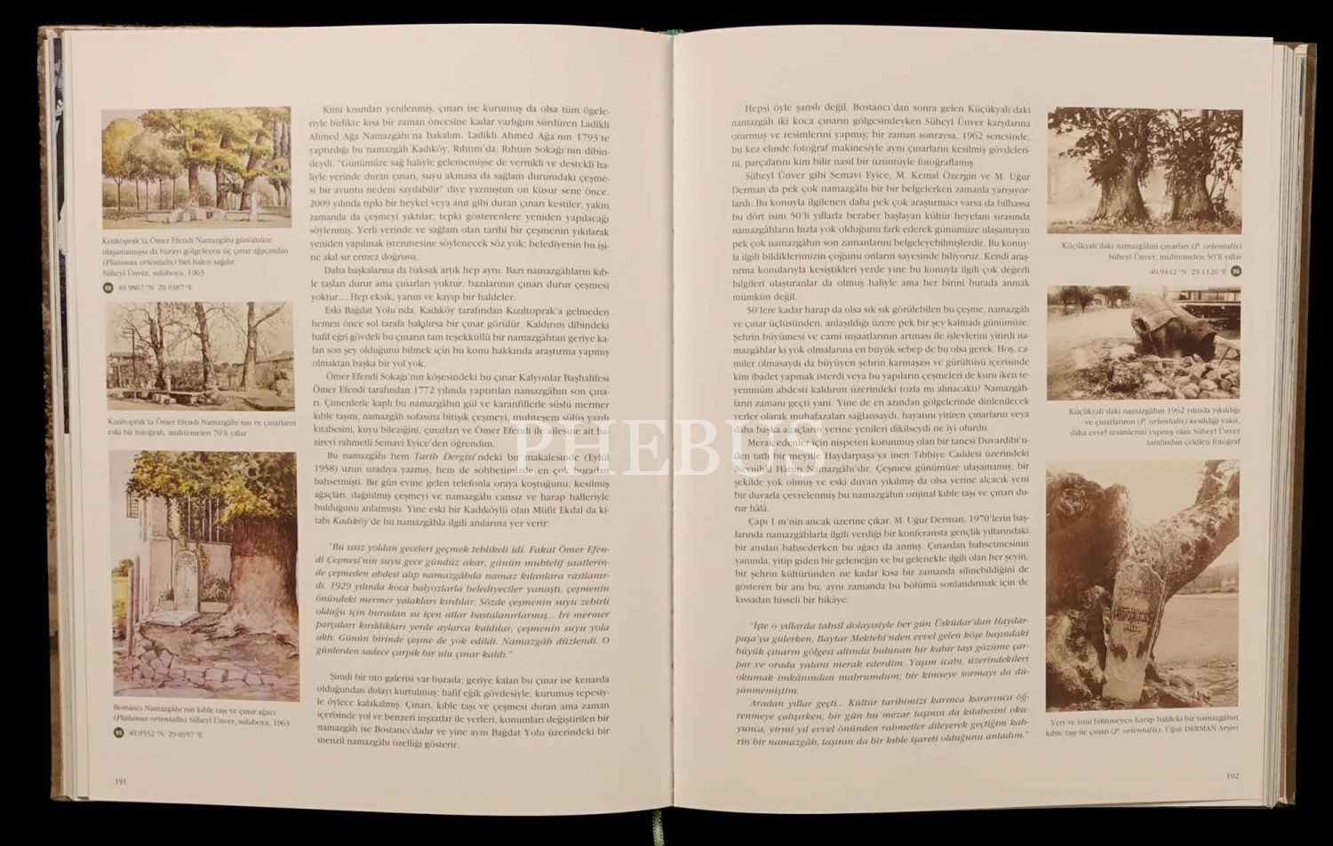 ESKİ İSTANBULLU AĞAÇLAR (İstanbul´un Anıtsal Ağaçları), Volkan Yalazay, 2019, Kırsal Çevre ve Ormancılık Sorunları Araştırma Derneği, 474 sayfa, 23x28 cm...