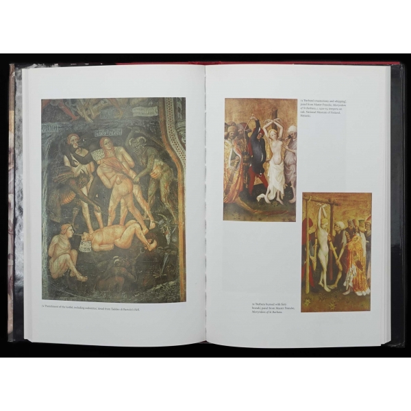 SUSPENDED ANIMATION (Pain, Pleasure&Punishment In Medieval Culture), Robert Mills, 2005, Reaktion Books LTD, 248 sayfa, 17x24 cm...
