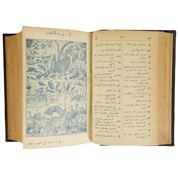 YENİ RESİMLİ TÜRKÇE KAMUS, Raif Necdet - Hüseyin Bedrettin, 1927, Ahmet Kamil Matbaası, 806 sayfa, 20x13 cm...
