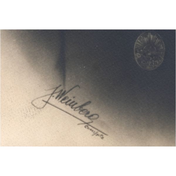 Mustafa Kemal Atatürk´ün İstiklâl Madalyası ile görüldüğü, 