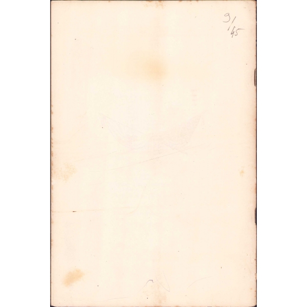 İngilizce Kızılhaç broşürü, 61 sayfa, 15x23 cm