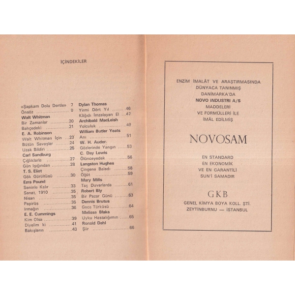 Çağdaş İngiliz-Amerikan Şiiri, Anıl Meriçelli, 1968, 67 sayfa