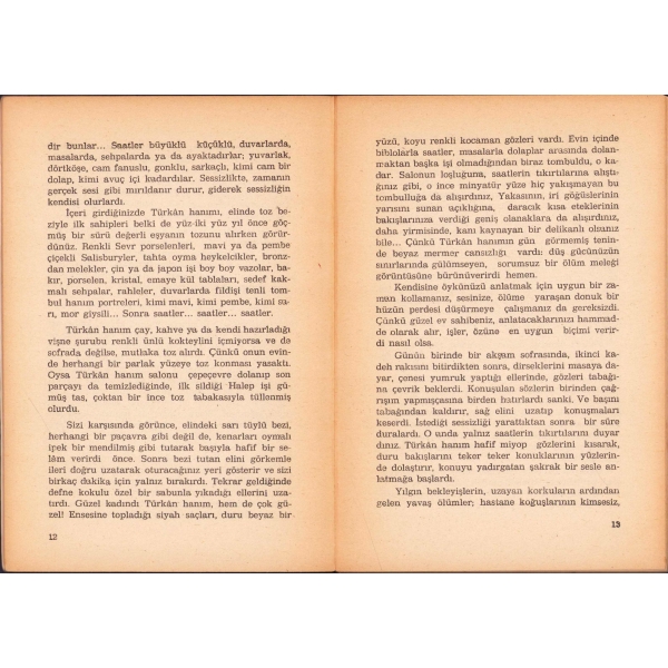 Kış Yolculuğu -Öykü-, Selçuk Baran, ilk baskı 1984, 154 sayfa