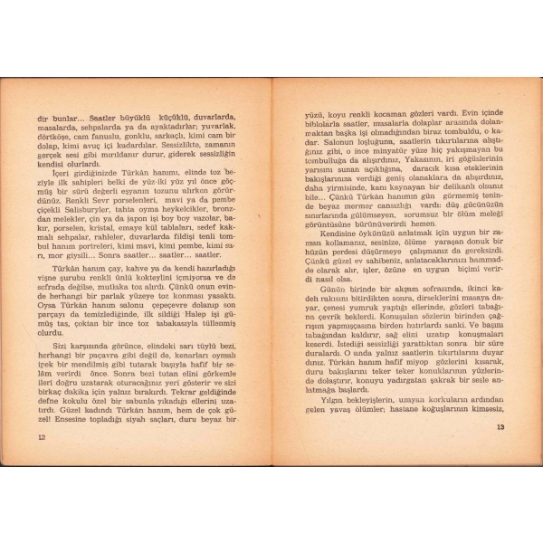 Kış Yolculuğu -Öykü-, Selçuk Baran, ilk baskı 1984, 154 sayfa