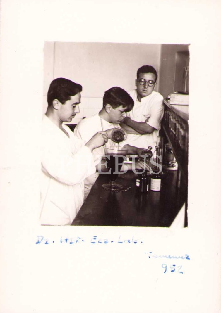 Eczane laboratuvarında çalışma yapılırken, Foto Firuzan-İstanbul damgalı, 1952 tarihli, 6x9 cm