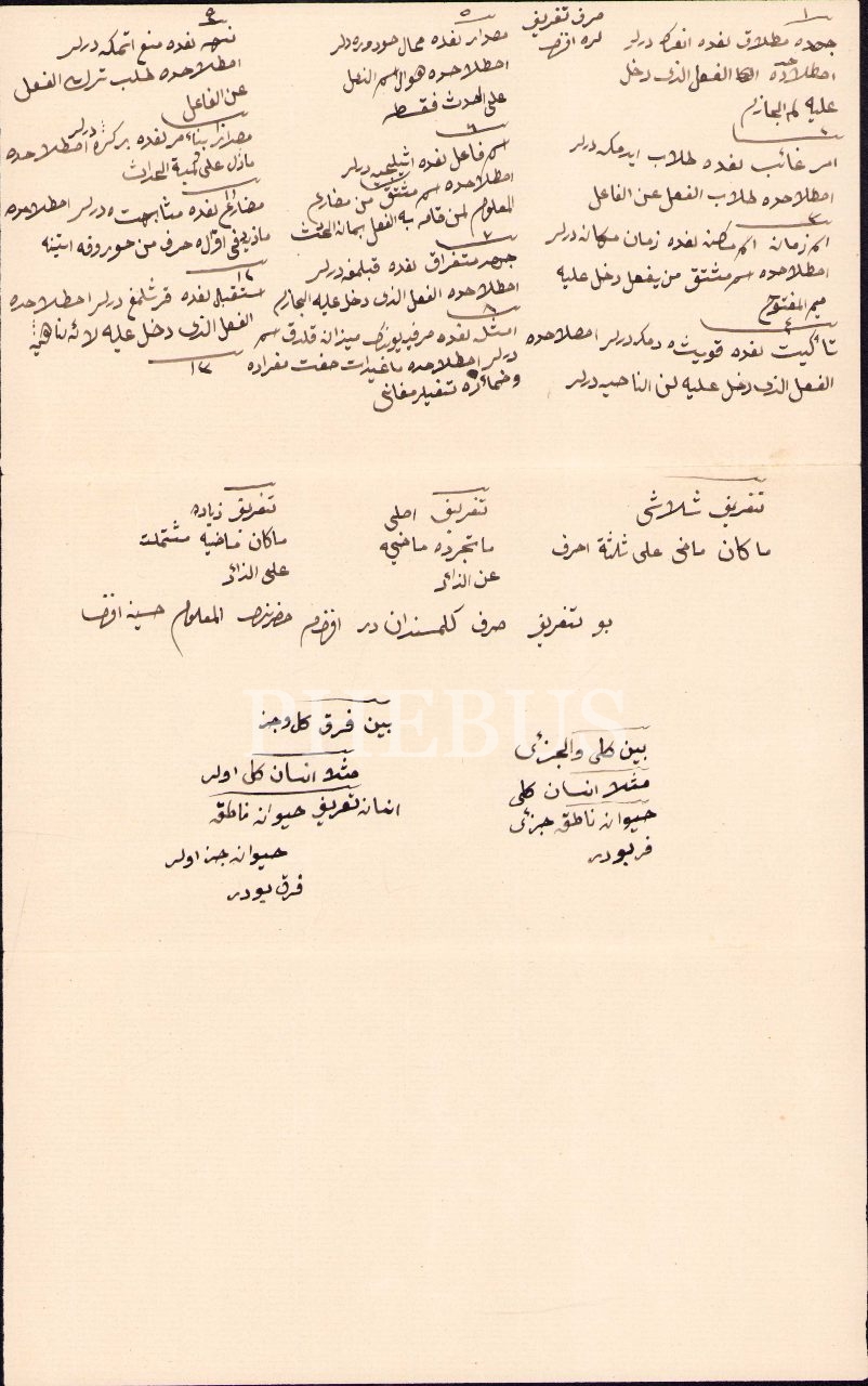 Mantık ilmine dair Arapça not kâğıdı, 21x34 cm