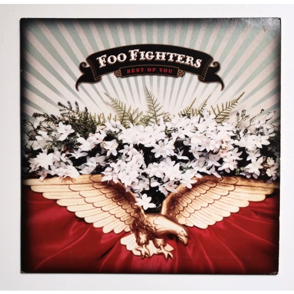 FOO FIGHTERS - Best Of You / Spill