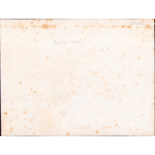 Albümin manzara fotoğrafı: Beyazıt ve Sultanahmet, 21x27 cm