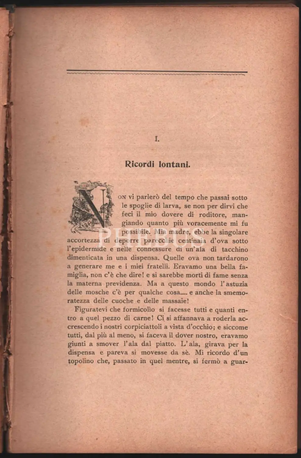 Societa Dante Alighieri Comitato Di Constantinopoli 1902