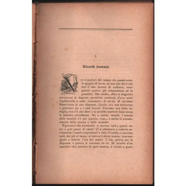 Societa Dante Alighieri Comitato Di Constantinopoli 1902